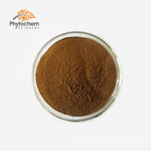 export supplier cordyceps militaris/cordyceps sinensis price